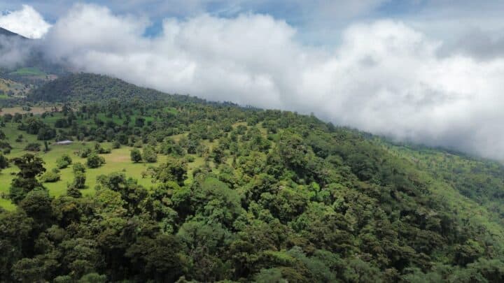 ¿Dónde comer en Turrialba? Esta publicación te interesará.